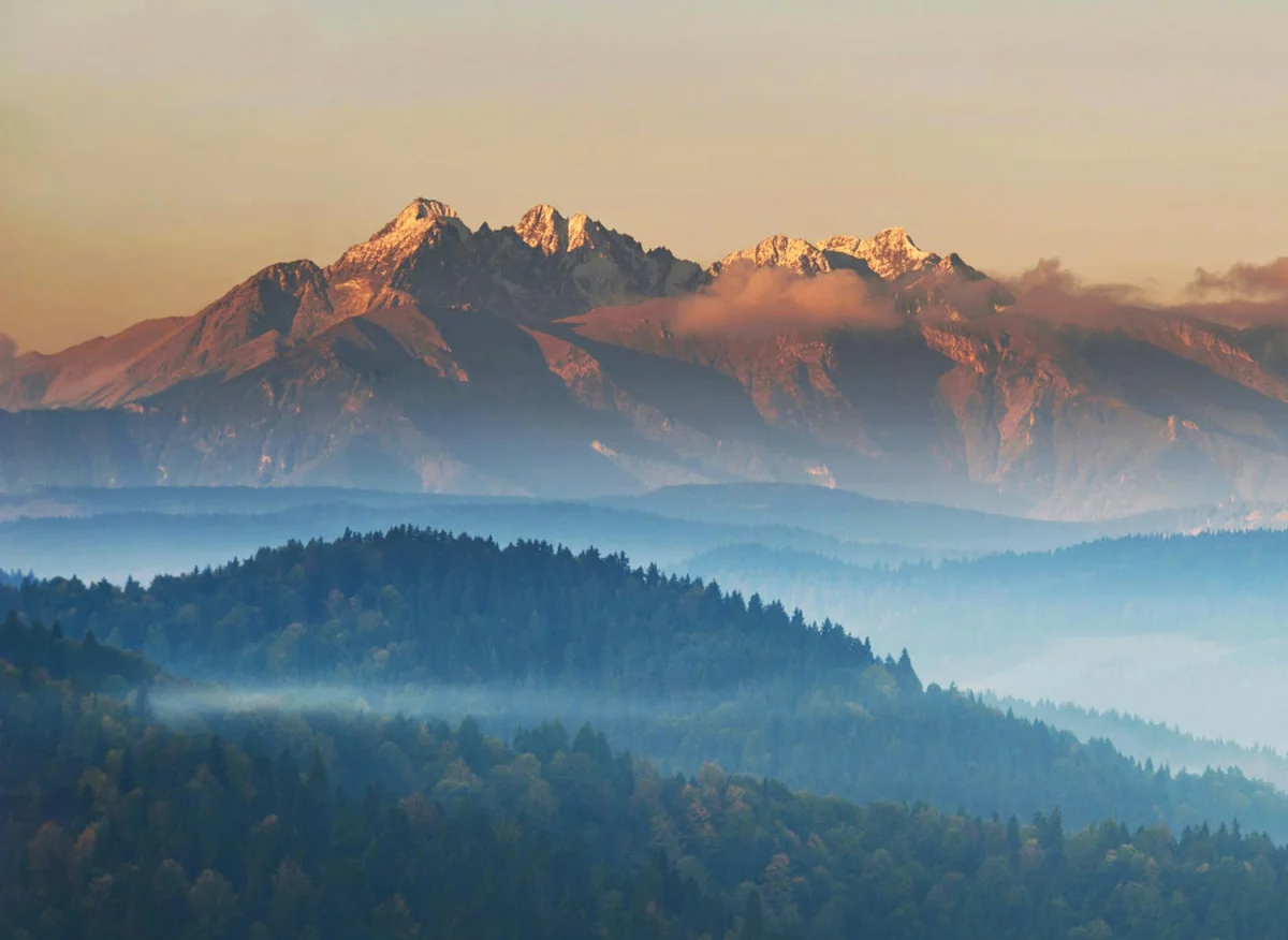 Jak w 2020  znaleźć kardiologa na sto procent!