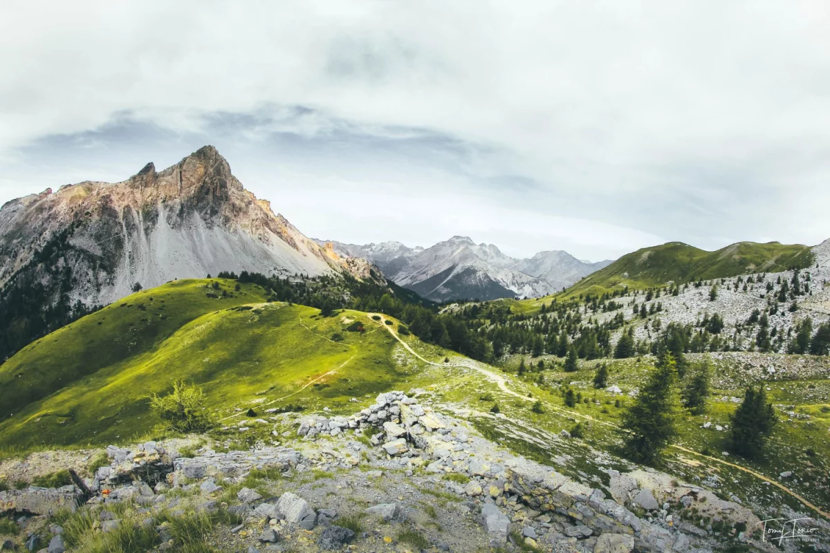 Czy w 2023 będziesz mógł jeździć samochodem?